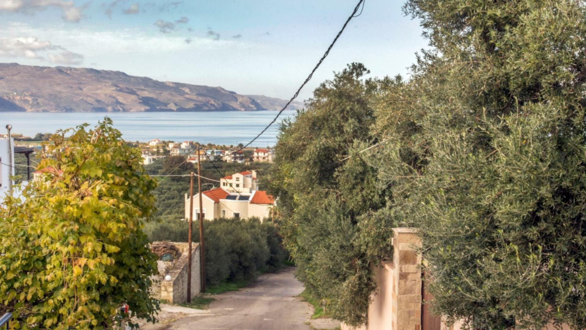 Tavronitis
