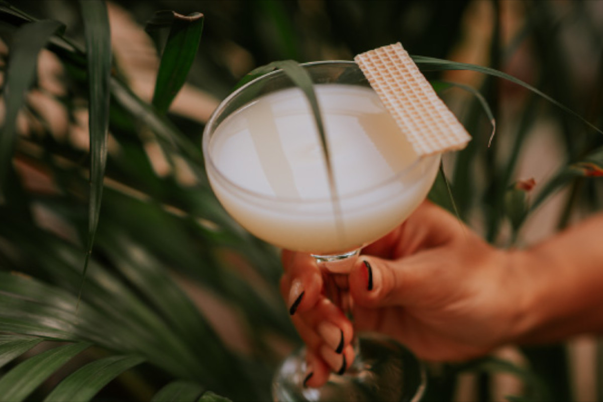 Xalavro Open Bar