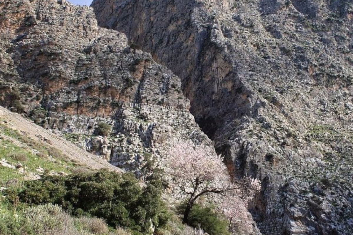 Gorge of Ha photo 2