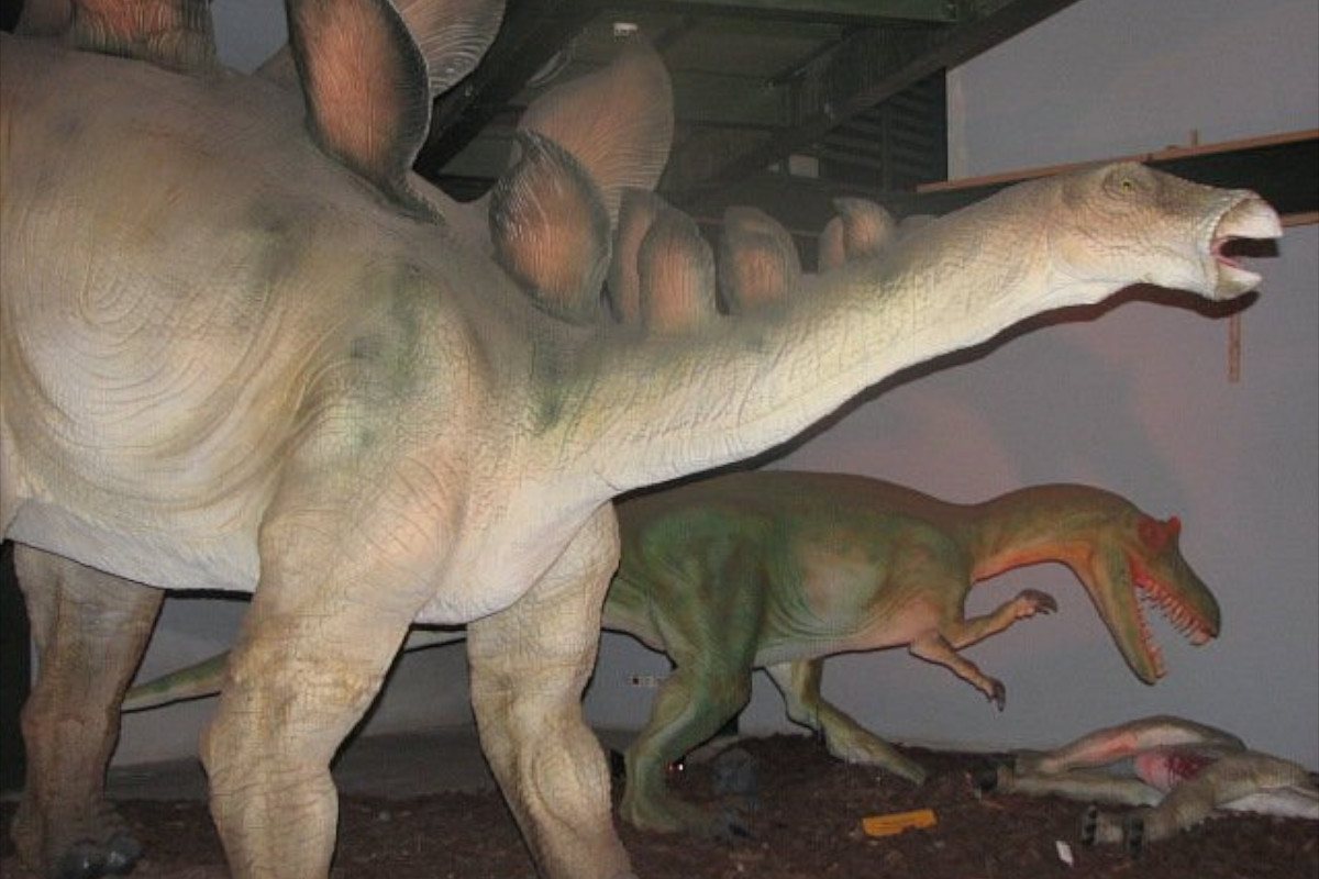 Natuurhistorisch museum van Kreta