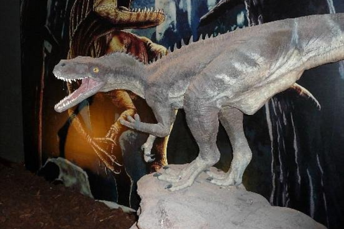 Natuurhistorisch museum van Kreta