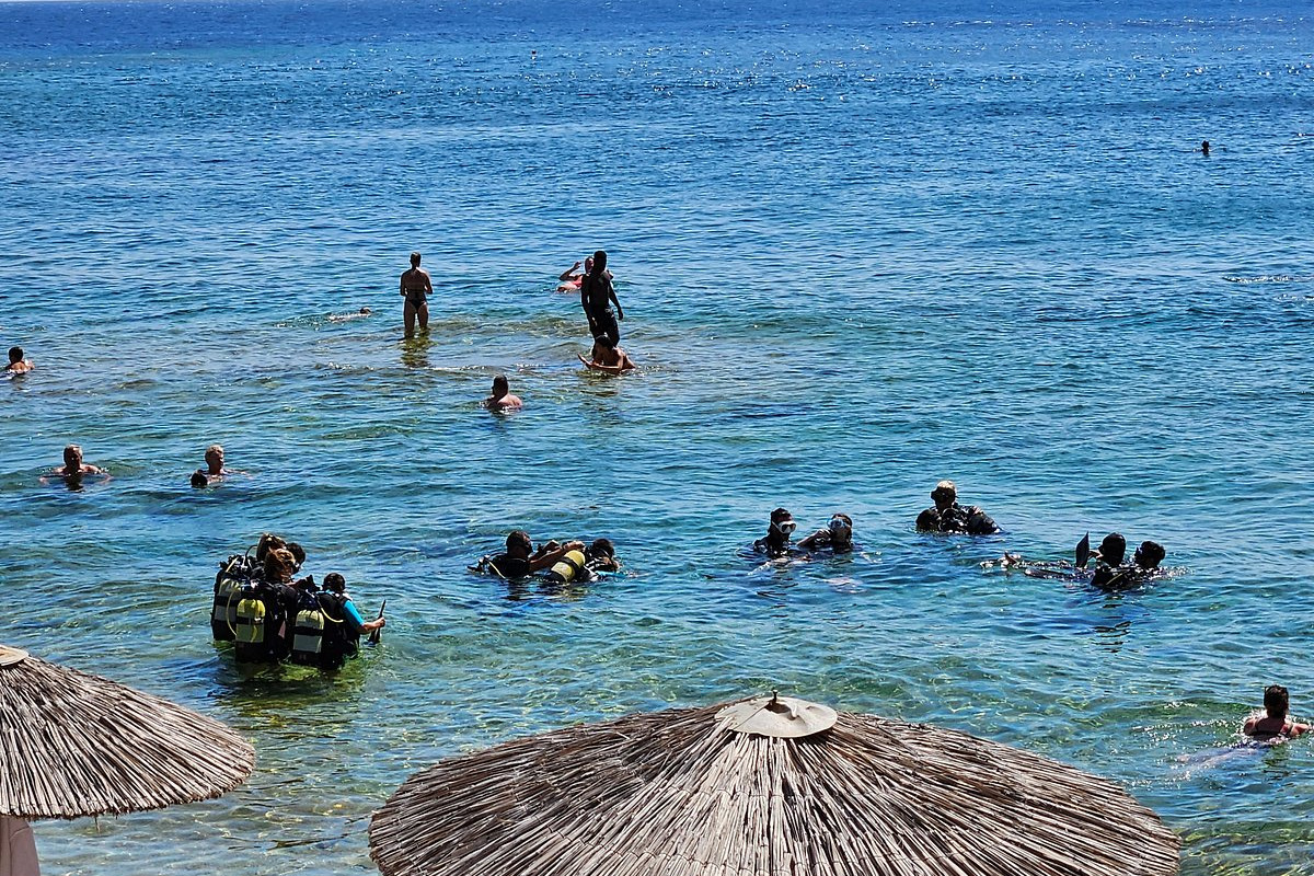 Stay Wet Diving Center