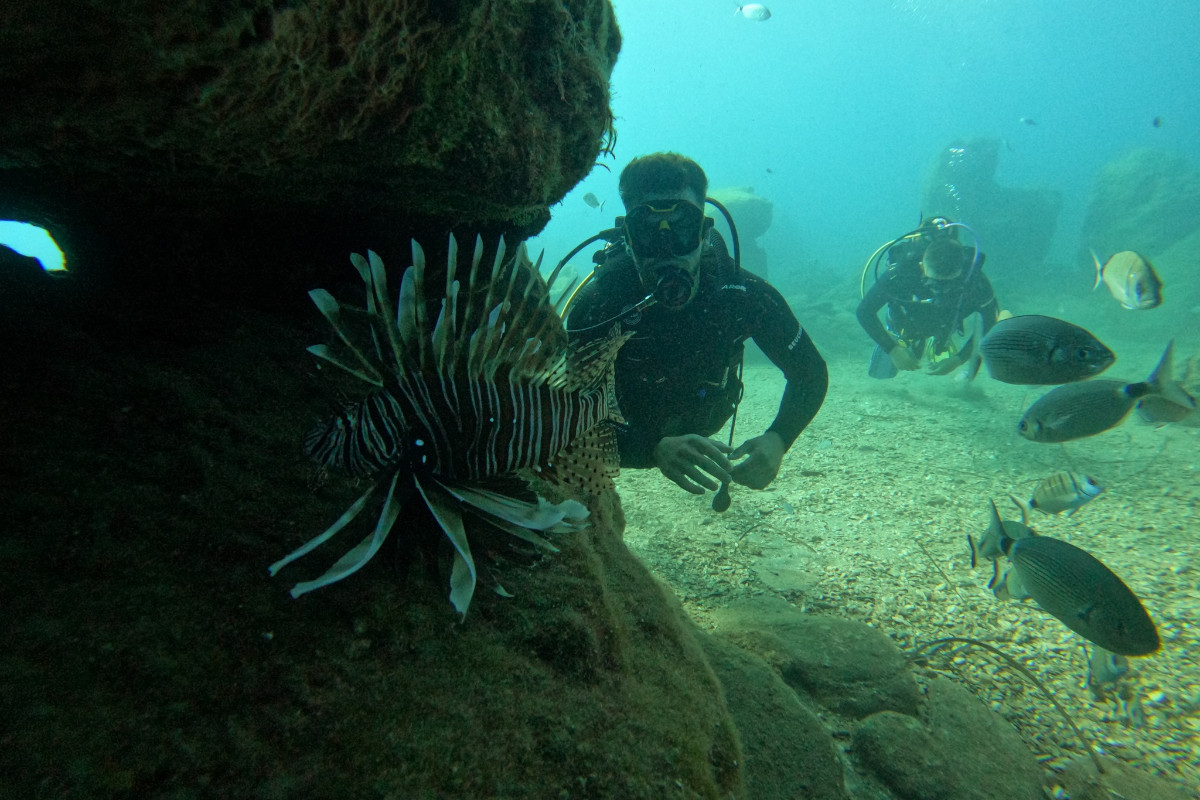 Hippocampos Bali-Tauchzentrum