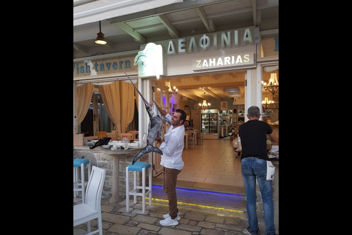 Δελφίνια Wine Bar Restaurant