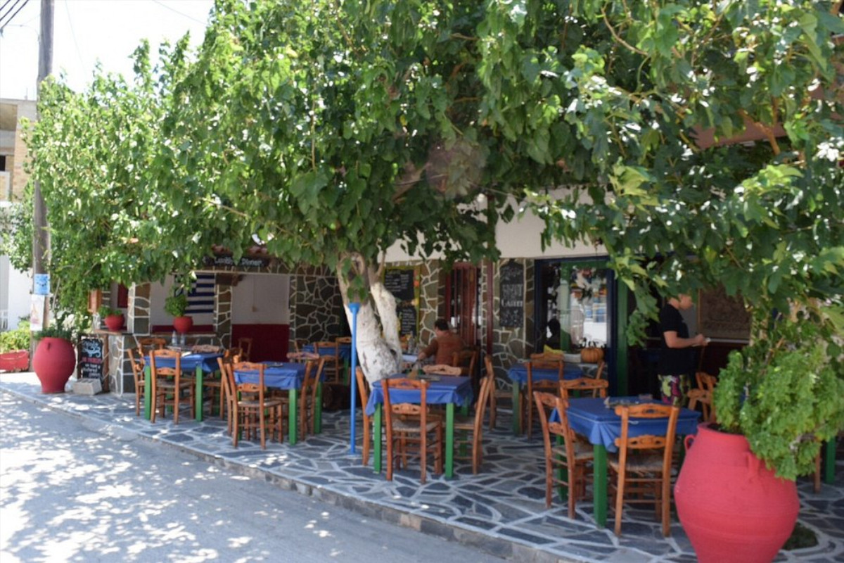 Restaurant végétarien ThirdEye