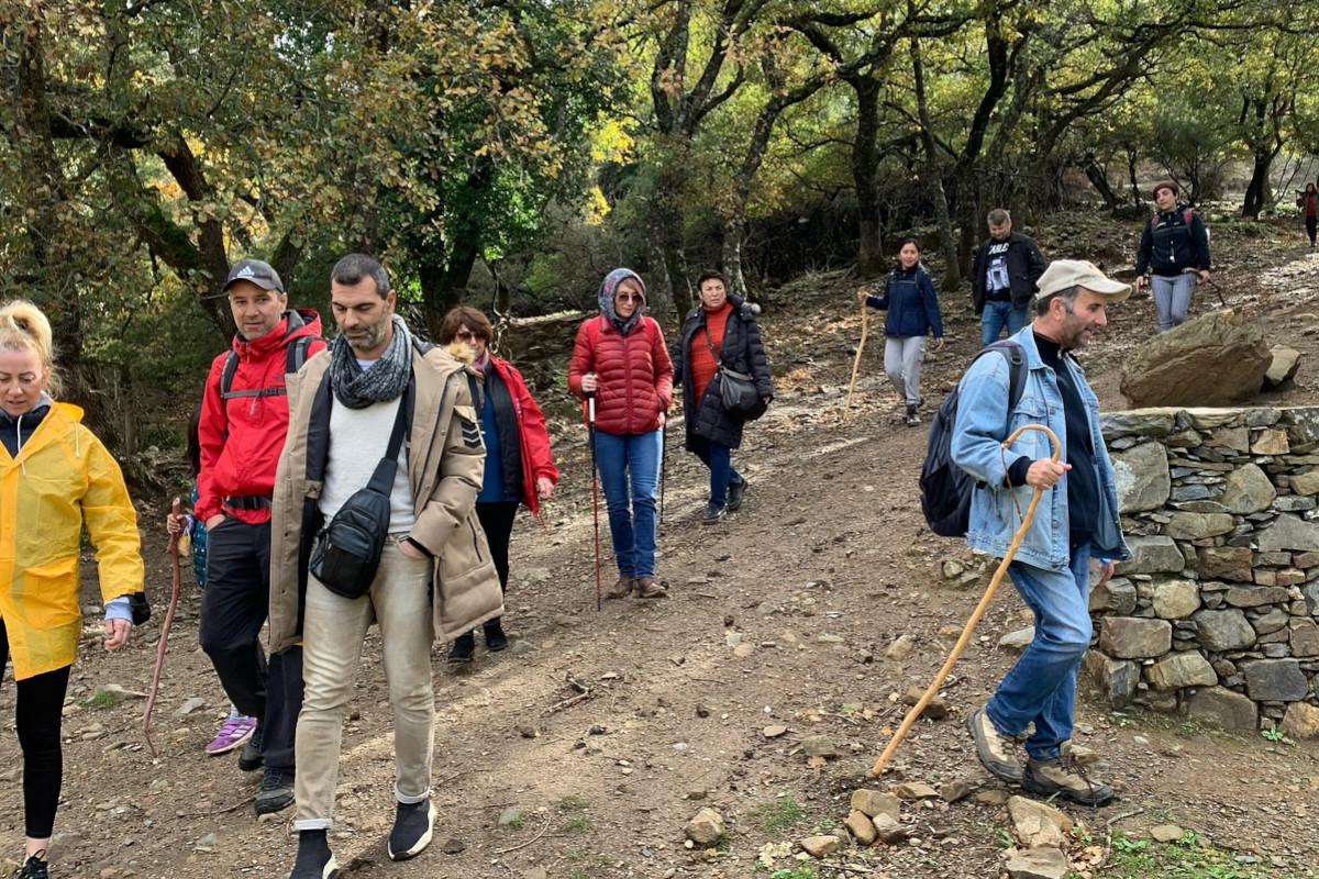 Strata Walking Tours
