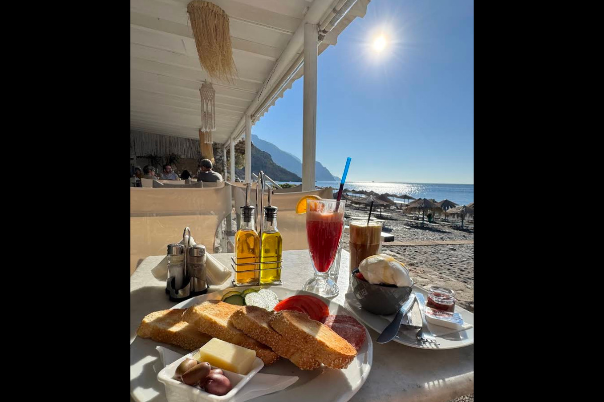 Snack Bar Syva