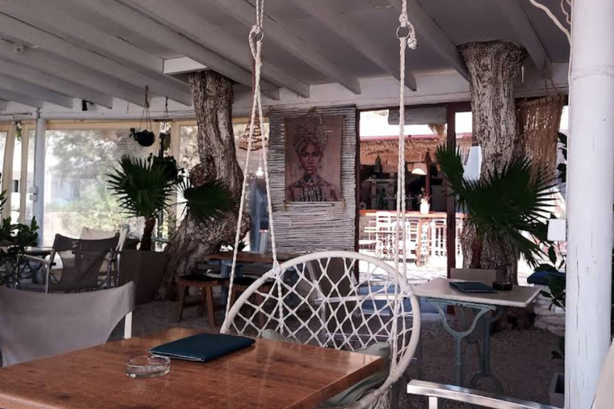 Snack Bar Syva