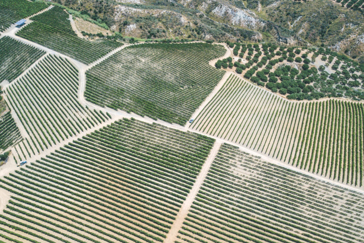 Haralabakis Winery