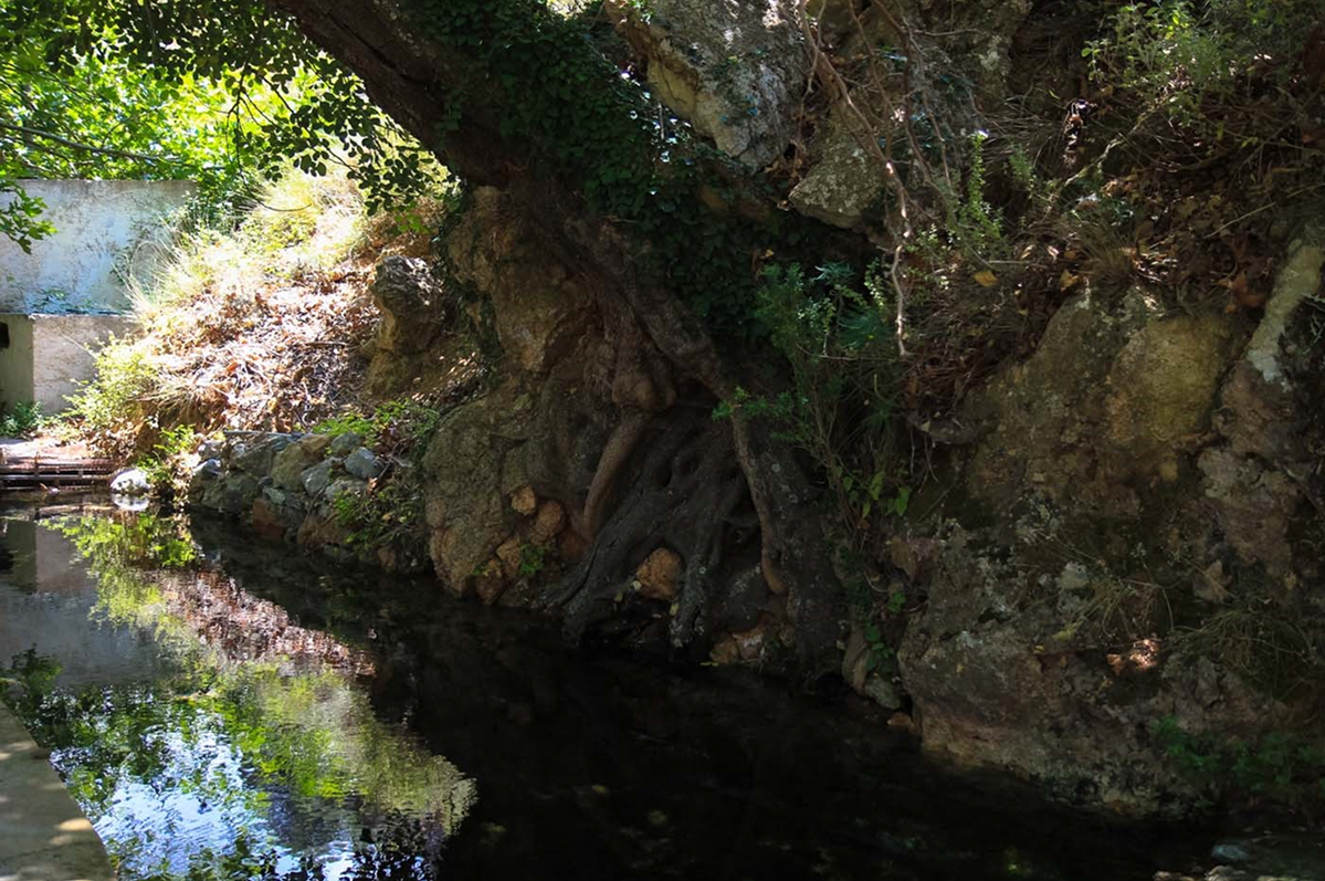 Zakros Water Spring photo 2