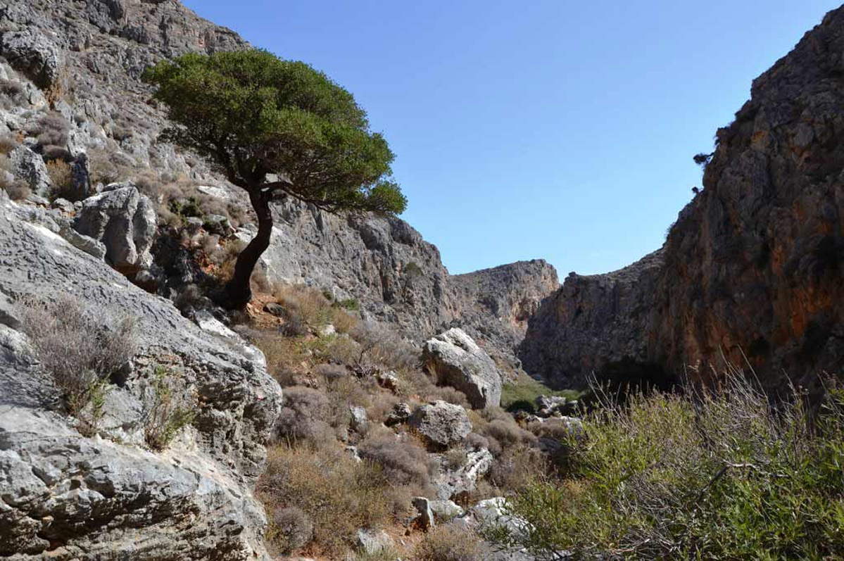  Schlucht von Chochlakies