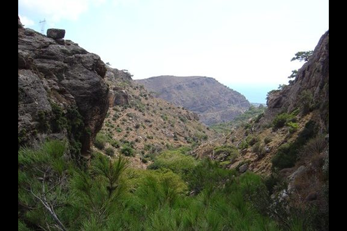 Pefki Gorge
