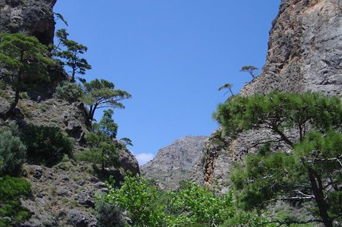  Φαράγγι της Πεταλούδας