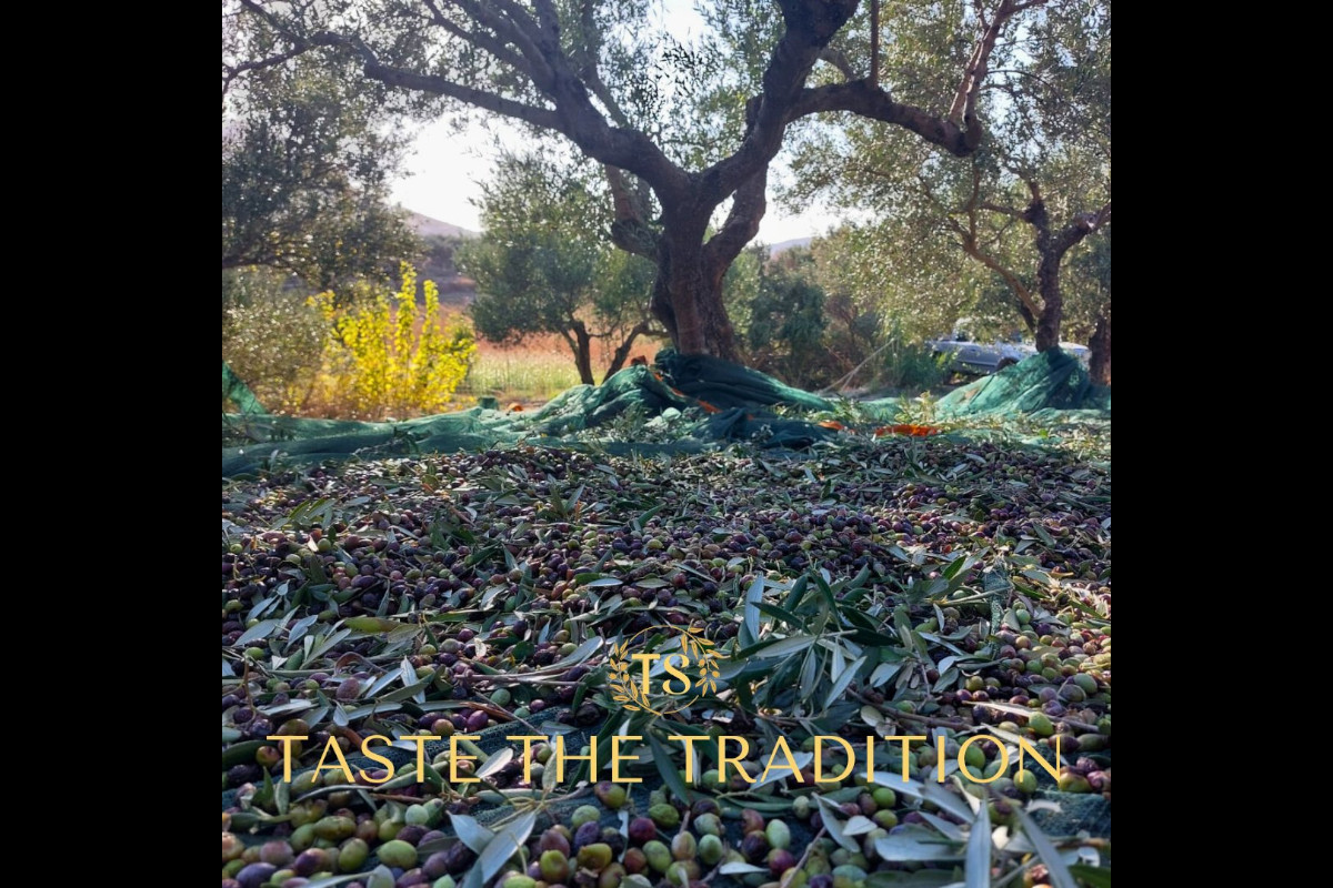Tsounato High-Phenolic Bioevoo