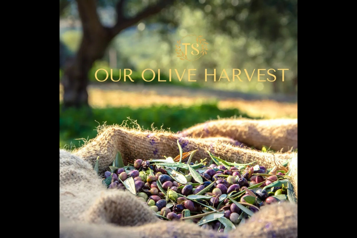 Tsounato High-Phenolic Bioevoo
