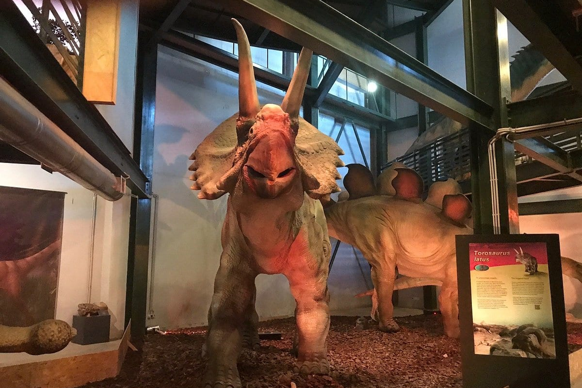 Het natuurhistorisch museum van Kreta