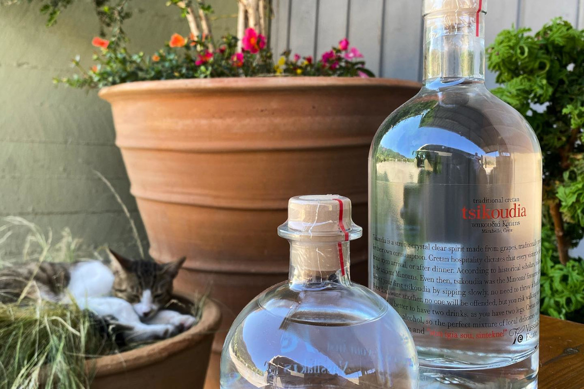 Weingut Vassilakis - Oliventour Kreta