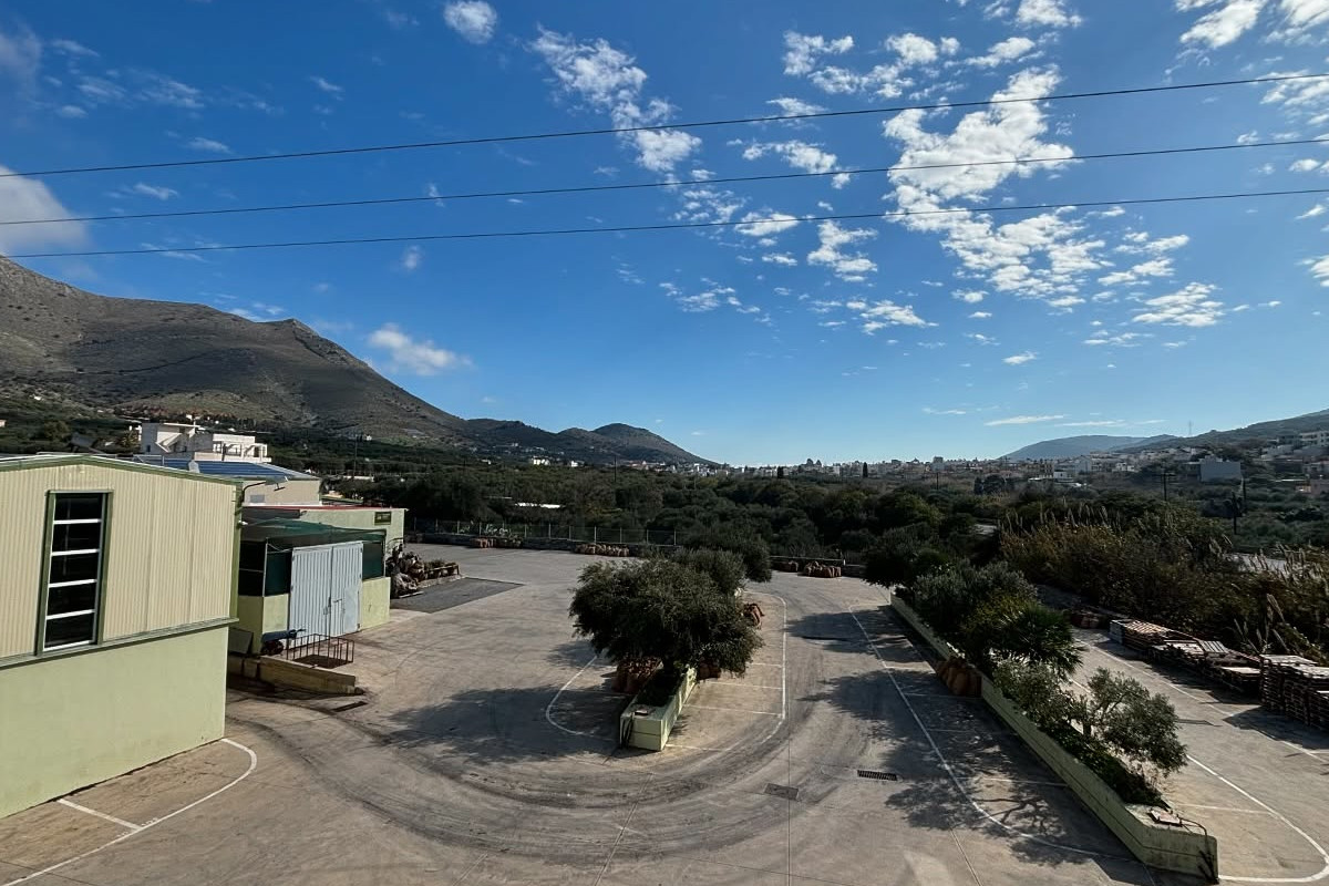 Weingut Vassilakis - Oliventour Kreta