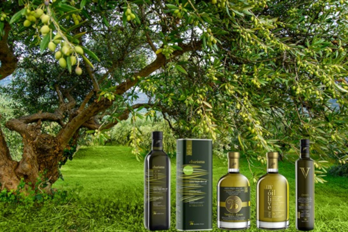 Weingut Vassilakis - Oliventour Kreta