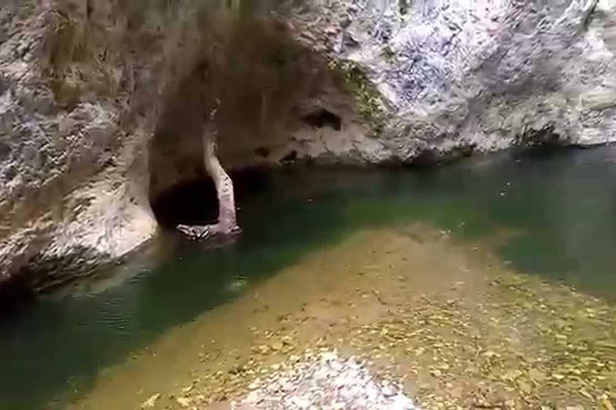 Neraidokolympos