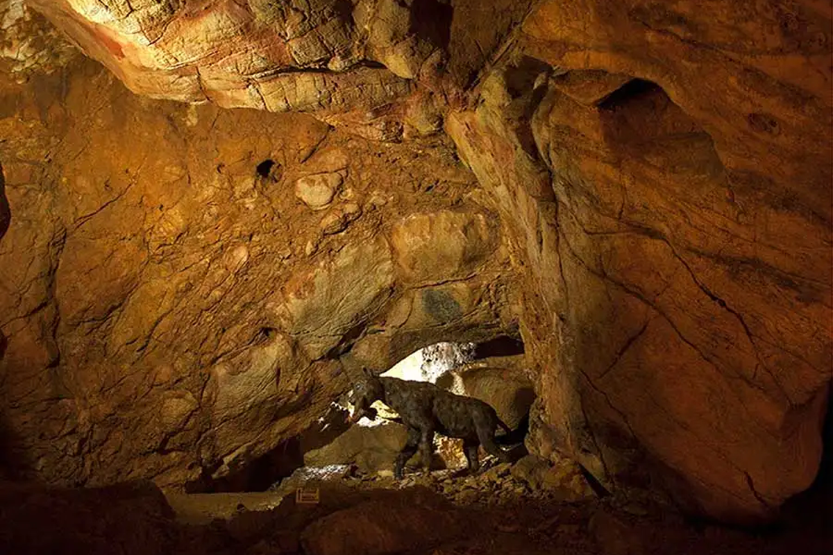 Kronio Caves