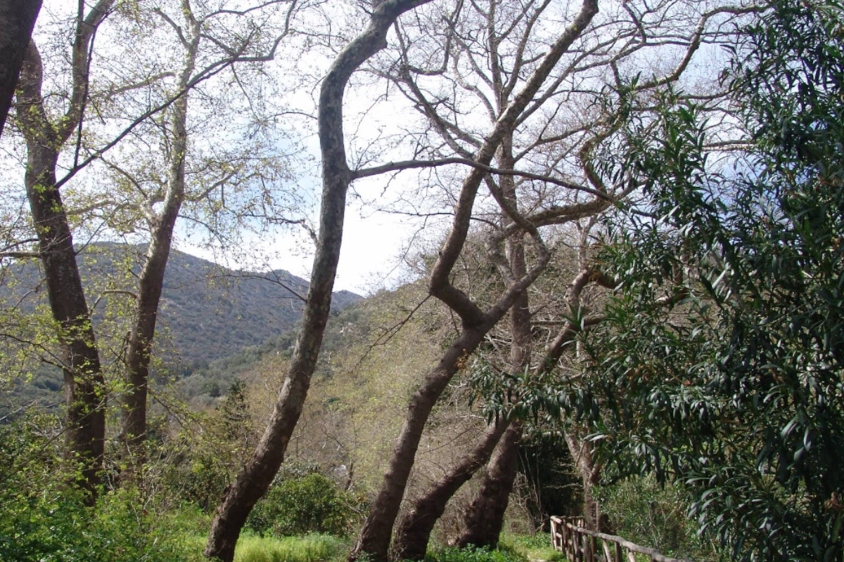 Fodele Park