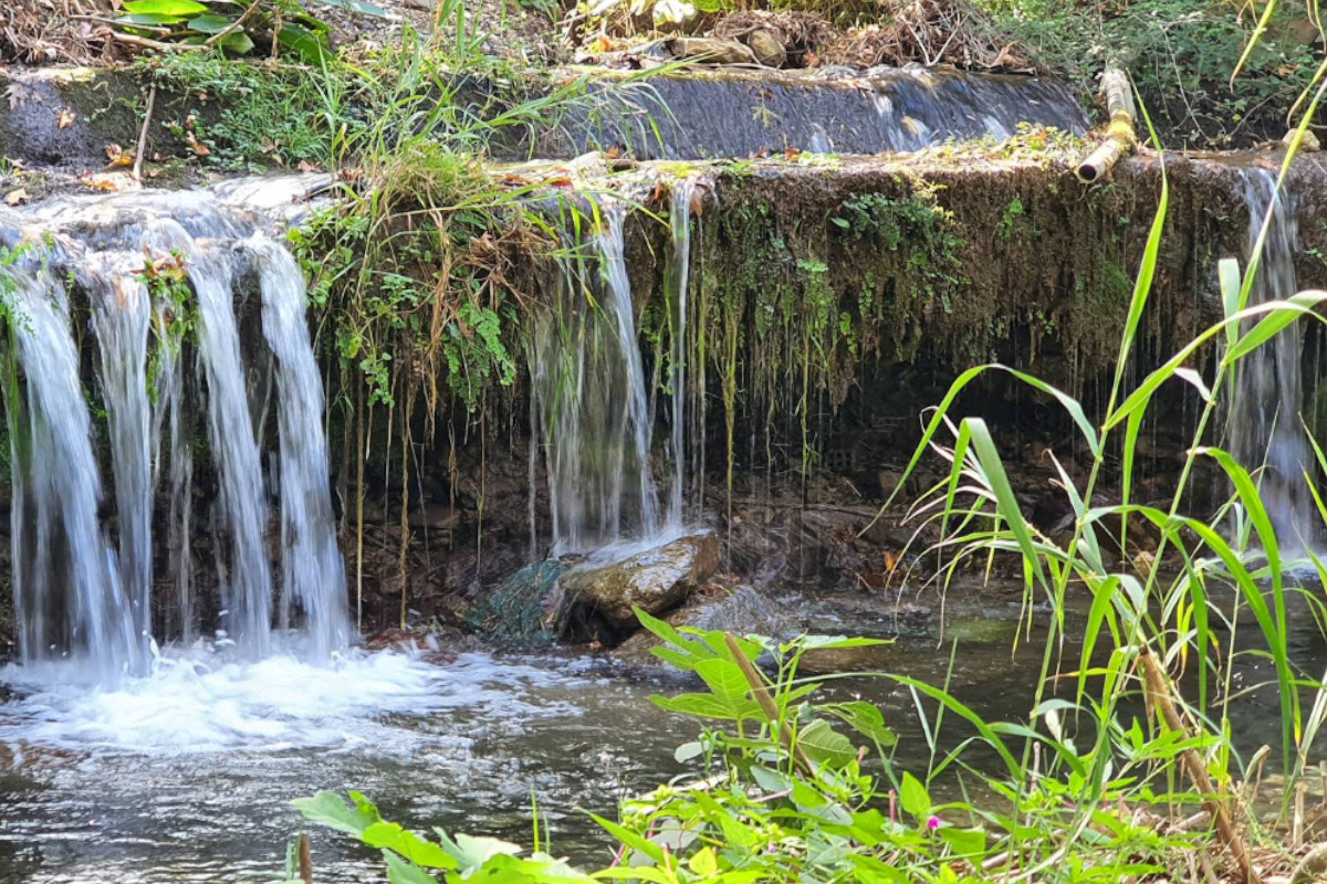 Fodele Park