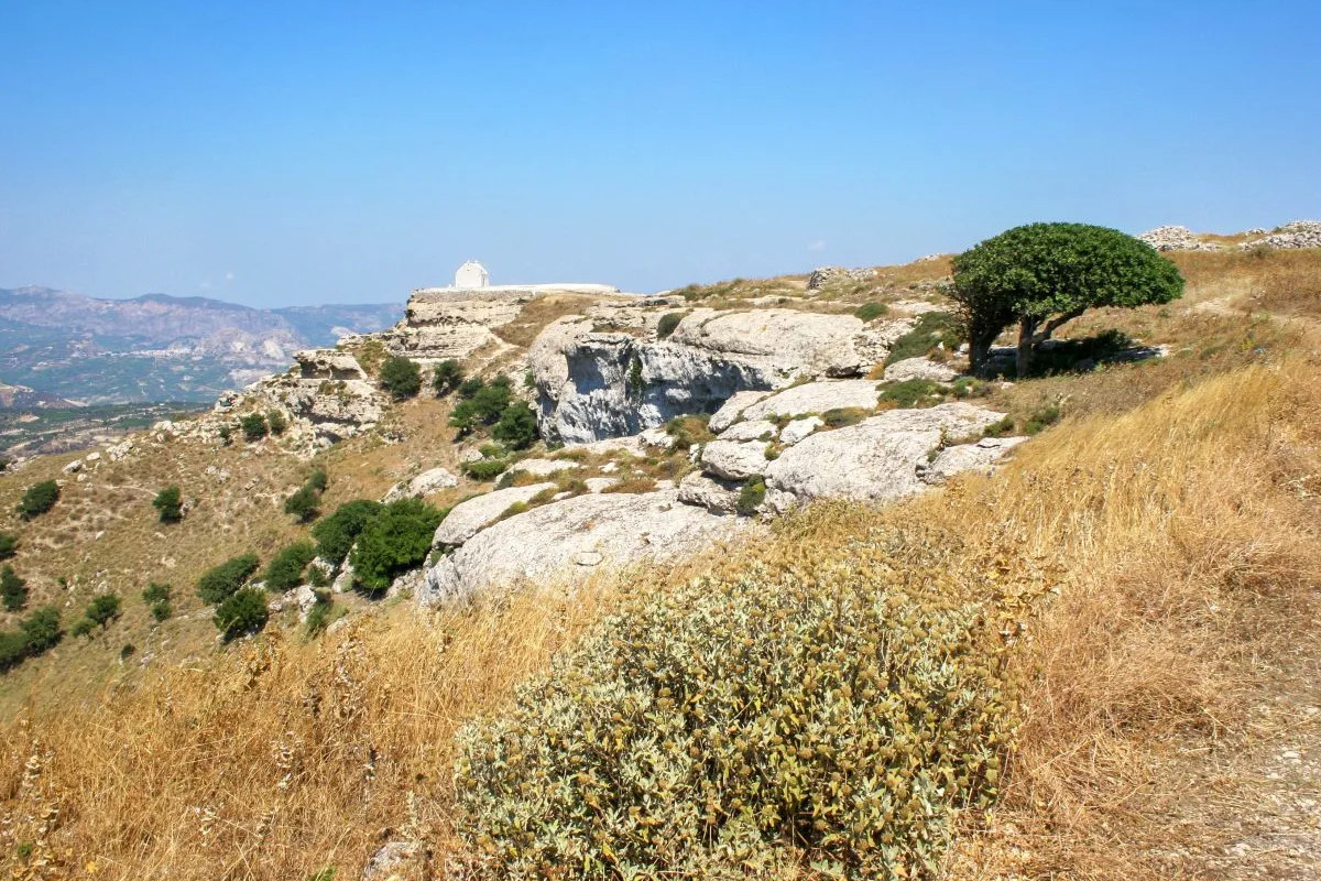 Ancient Prinias (Rizinia)