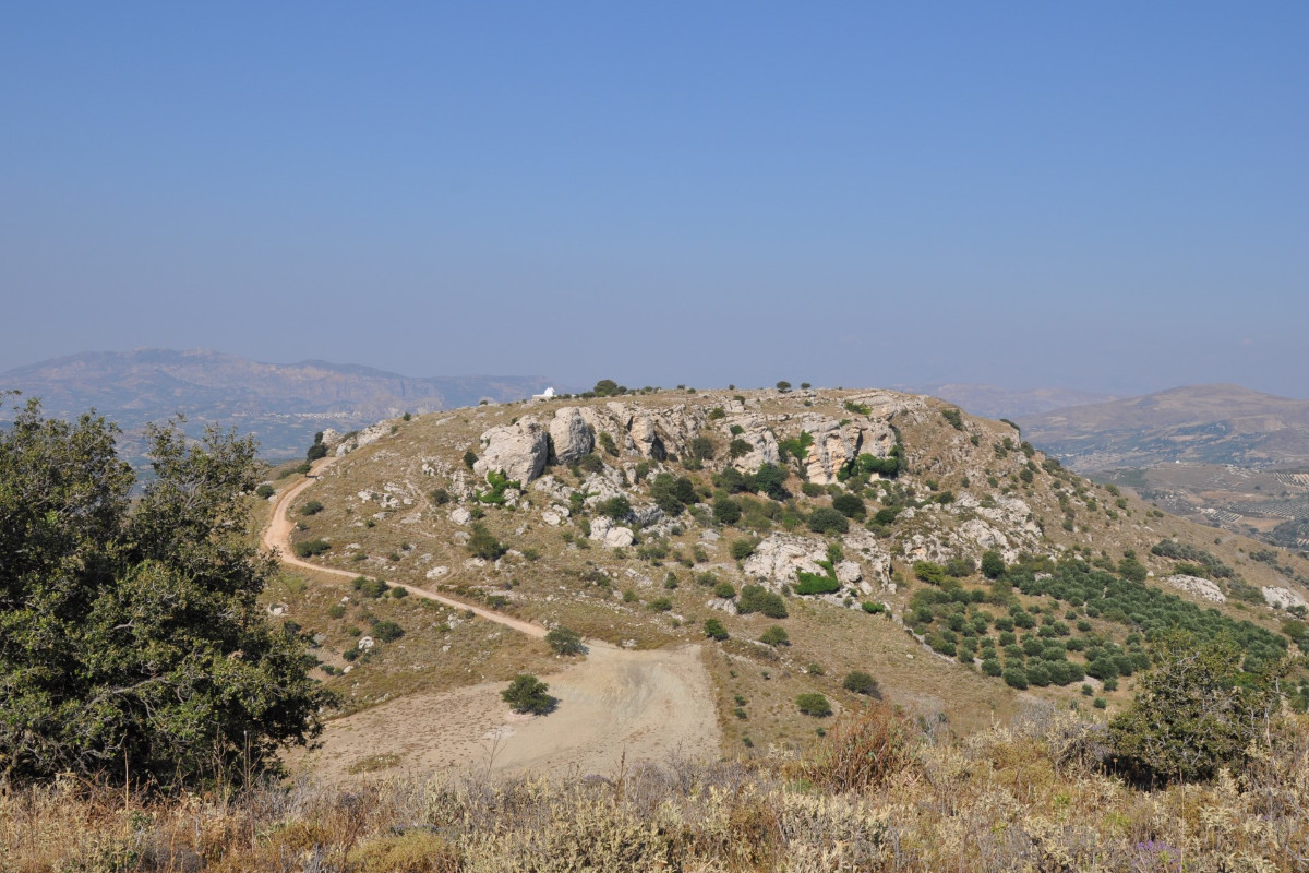 Ancient Prinias (Rizinia)