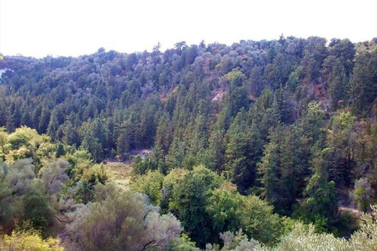 Margaritsano Gorge photo 2