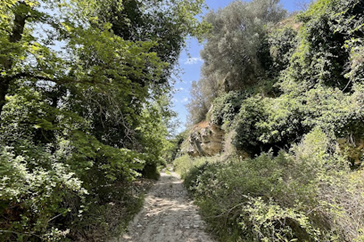 Schlucht von Apolychnou