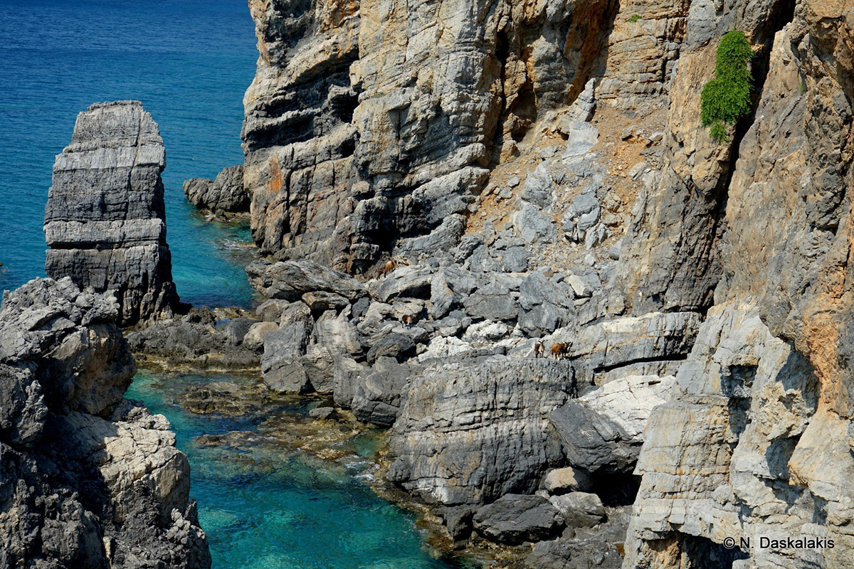 Plage de Kolymbos