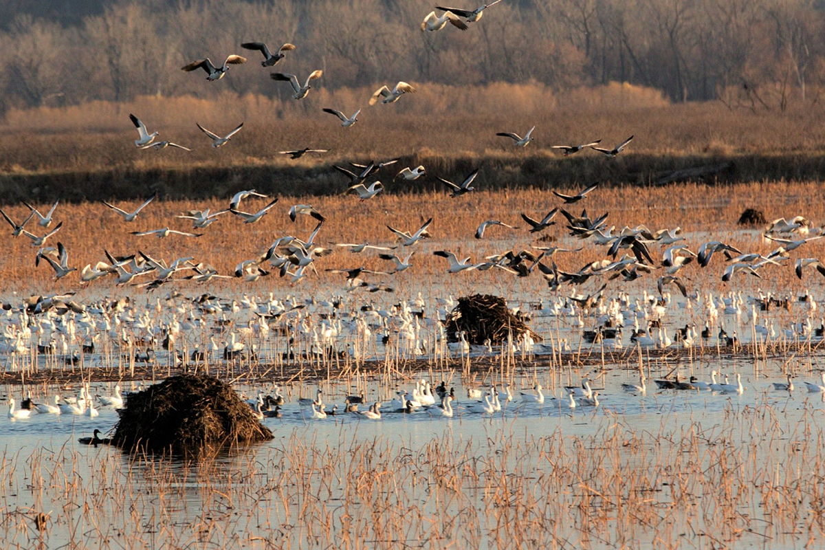 Refuge de faune sauvage d`Aposelemis