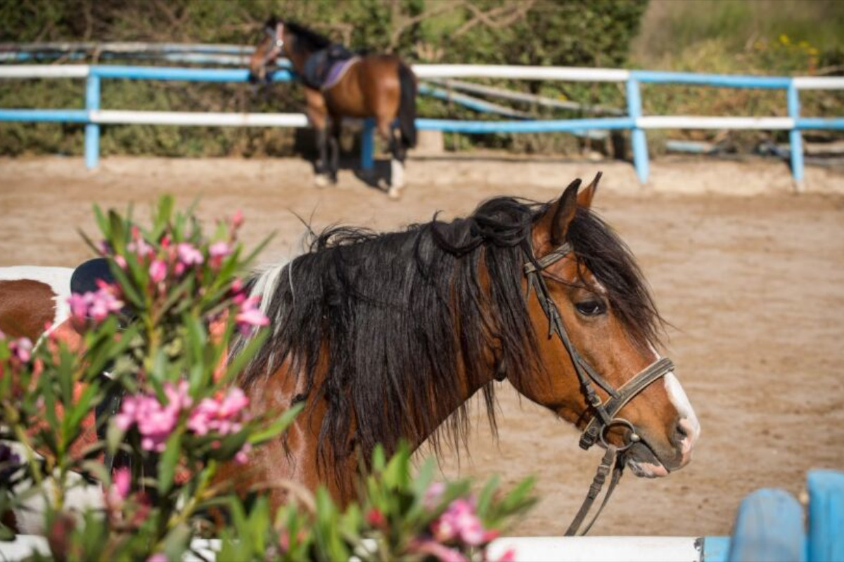 Tour location in Crete