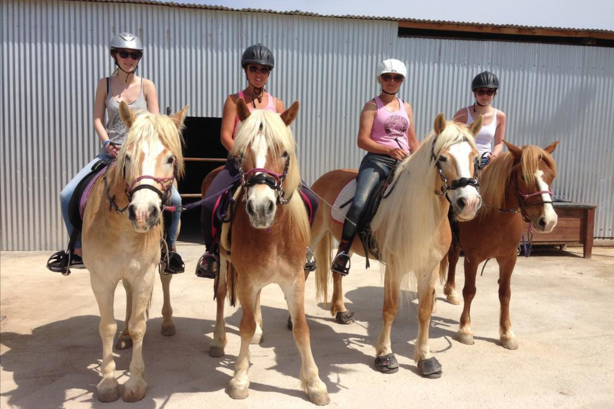 Hersonissos : 1-Hour Horse Riding, Olive Groves & Village Ride