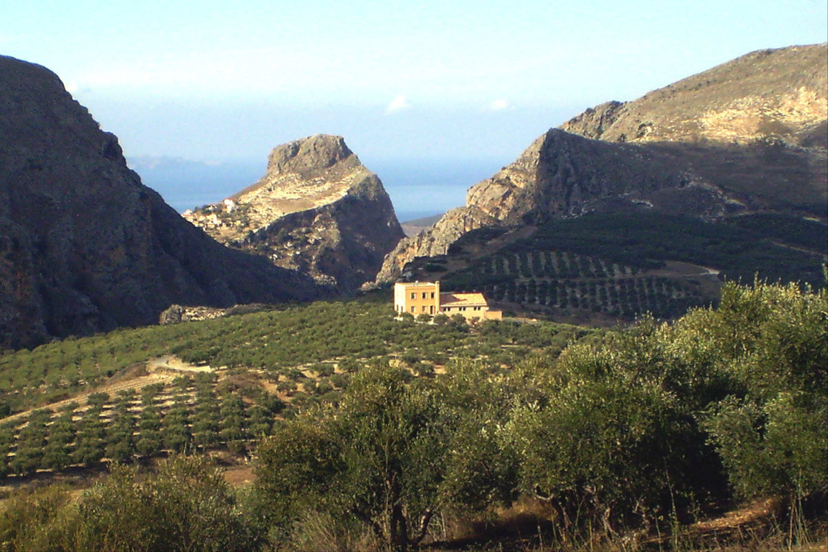 Tenuta Biolea Astrikas