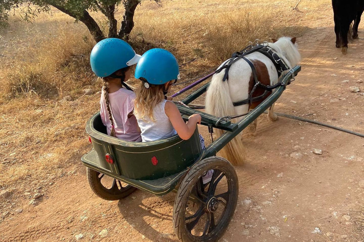 Hersonissos: 30-Minute Pony, Donkey & Horse Riding Experience