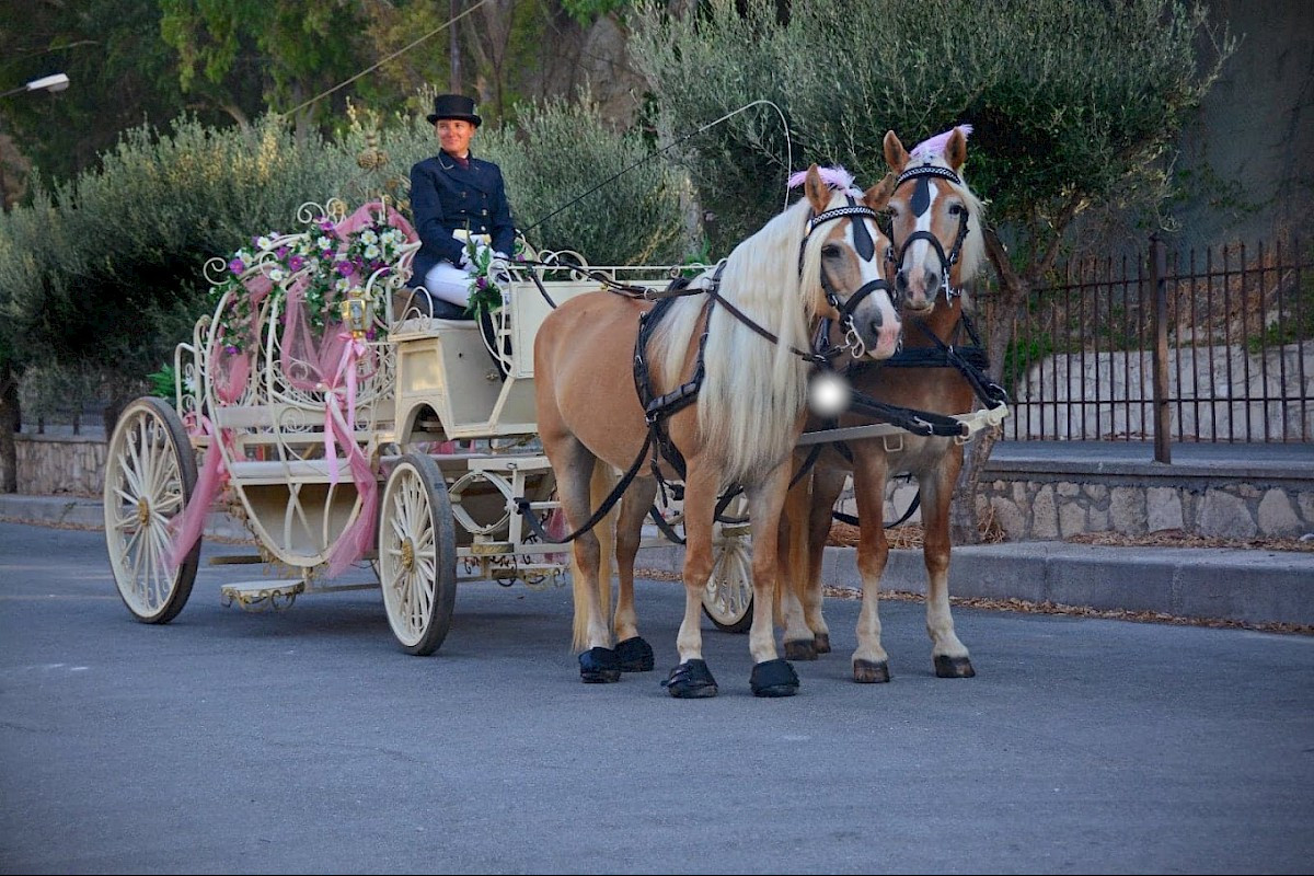 From Hersonissos: Private Horse Carriage Ride to Sunset Beach or Traditional Villages