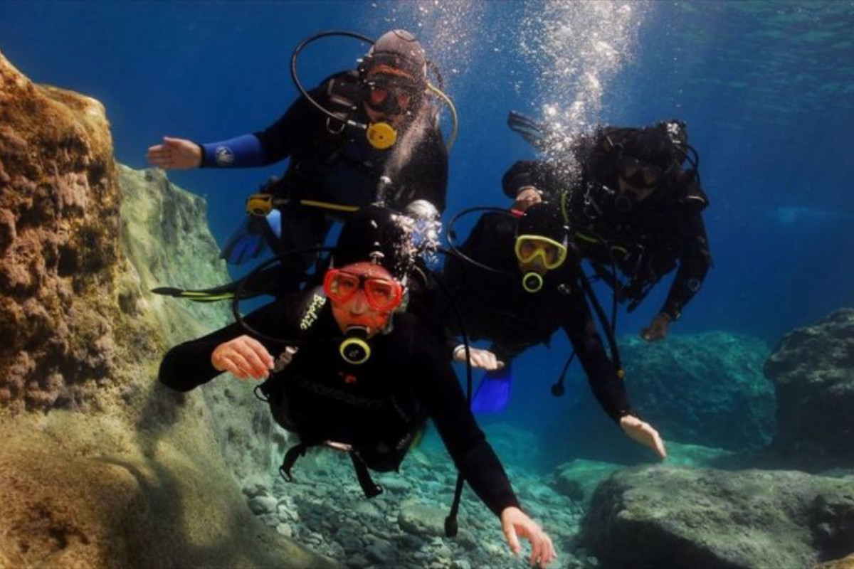 Rethymno: Night Snorkeling Tour with Nocturnal Marine Life