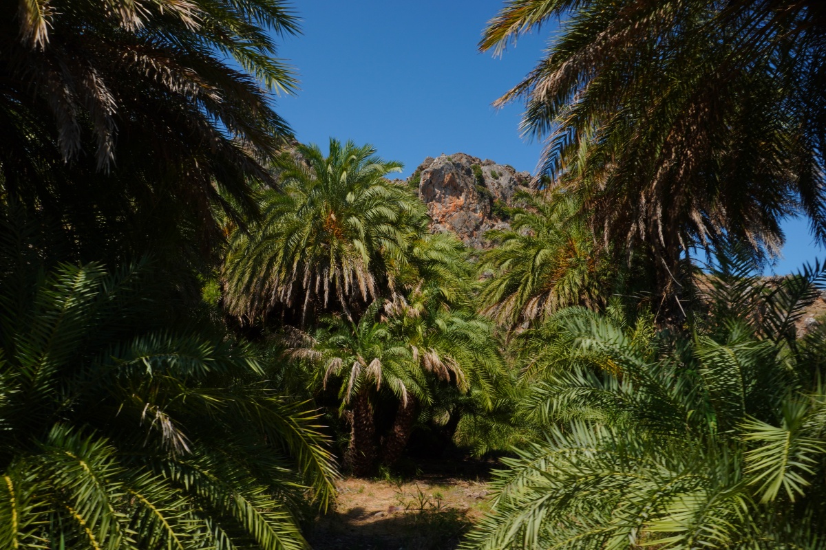 Spiaggia di Preveli