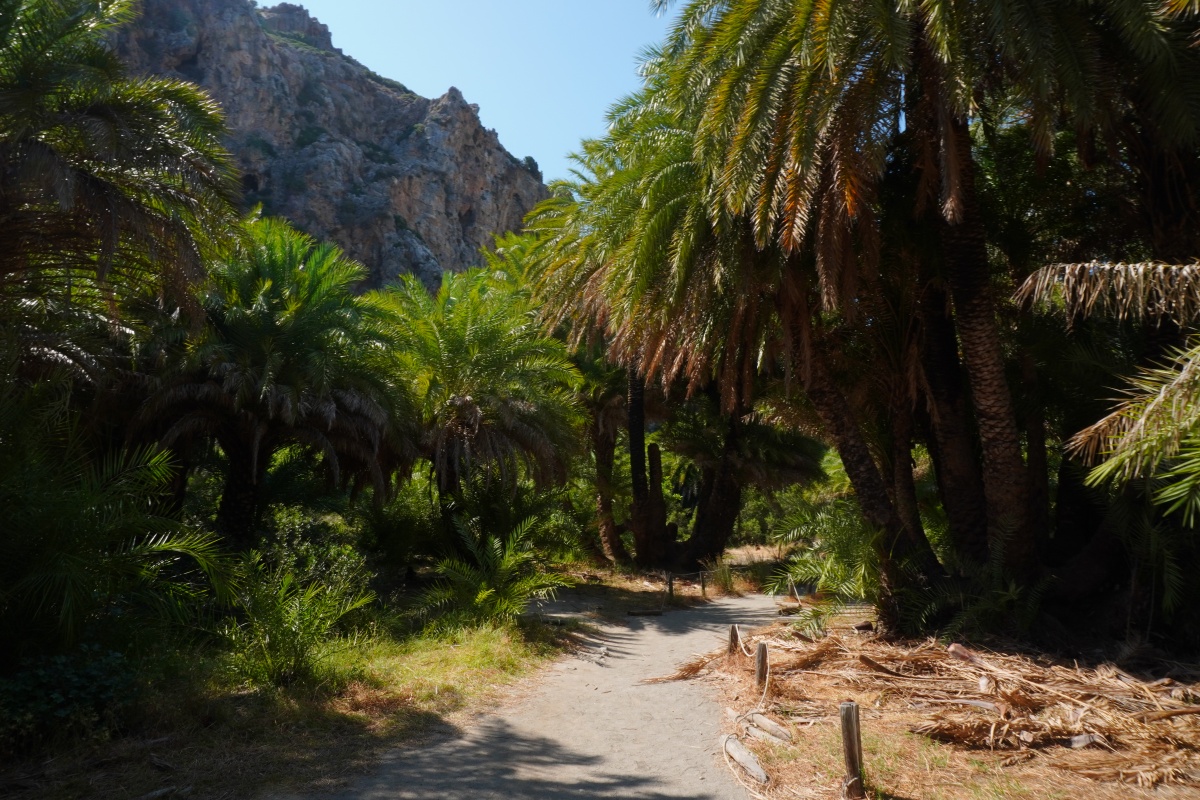 Spiaggia di Preveli