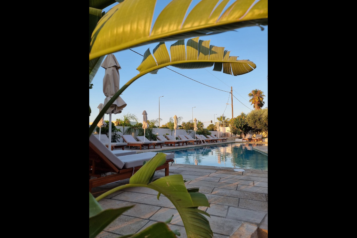 AVRA Creating Feelings Restaurant