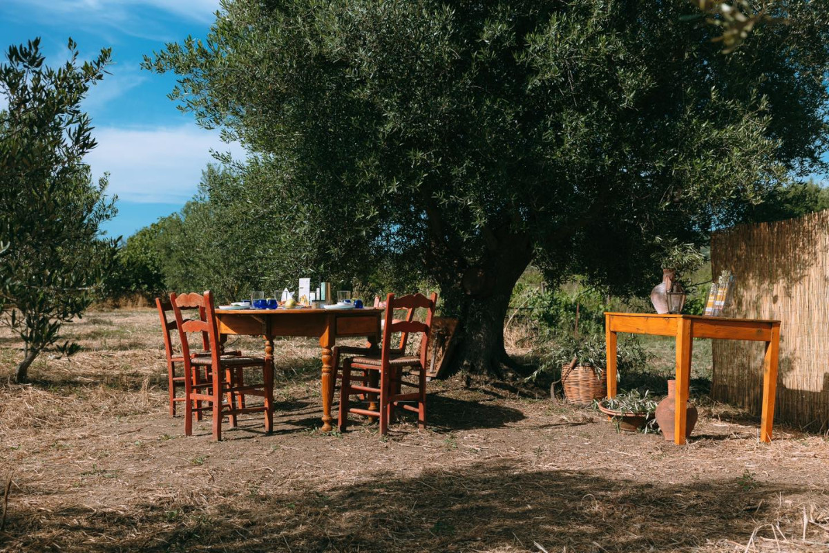 Olive Oil Experience Crete Politakis