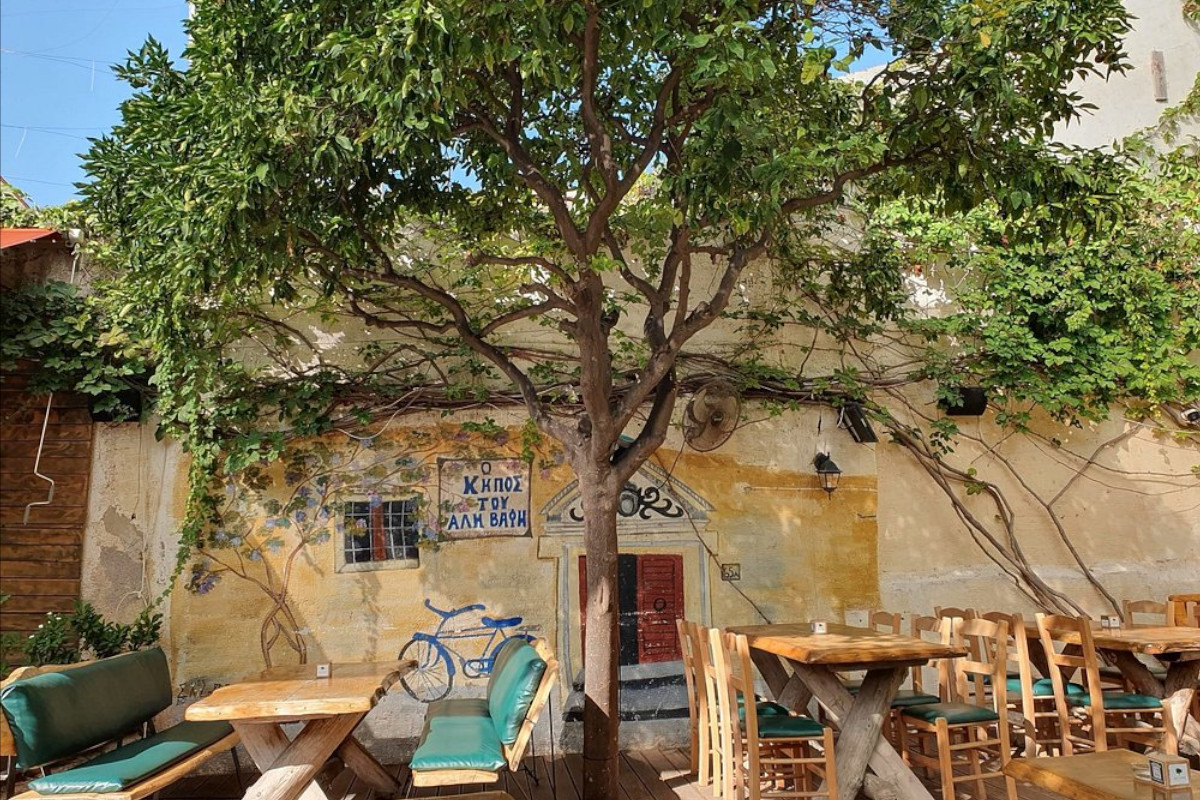 Ali Vafi's Garden