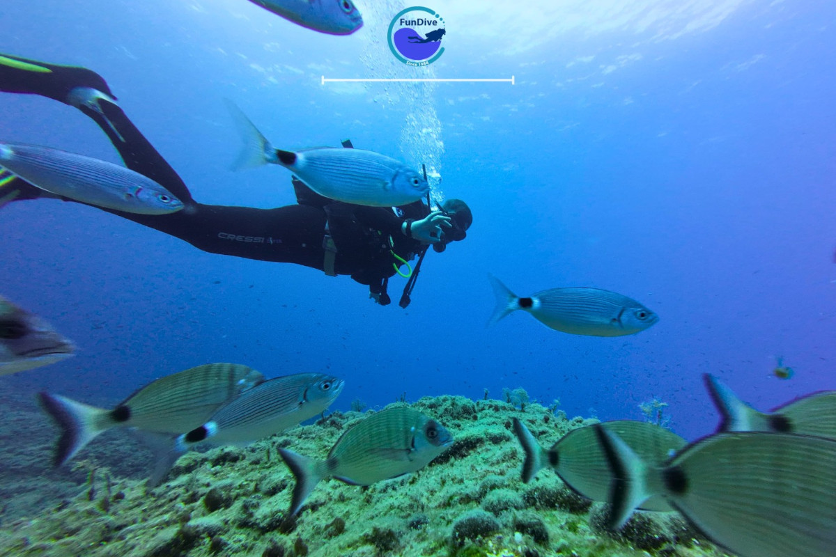 FunDive