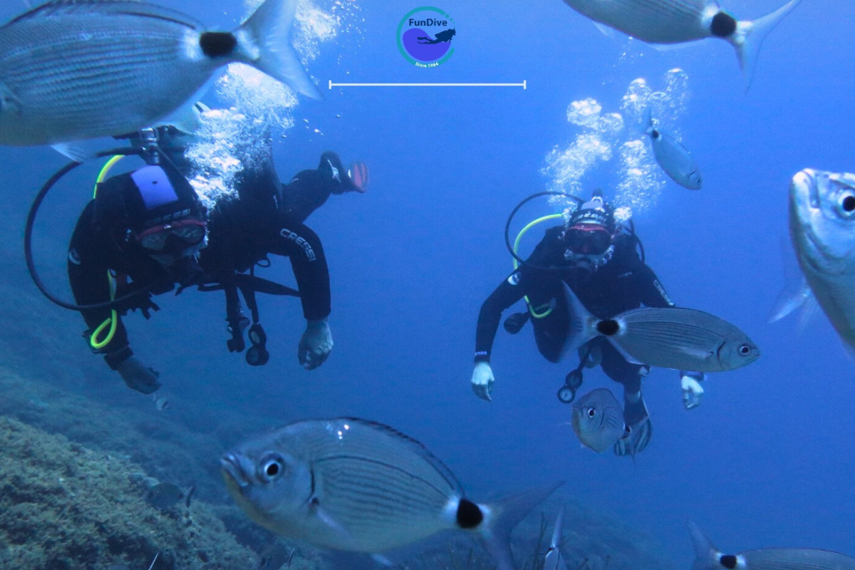 FunDive