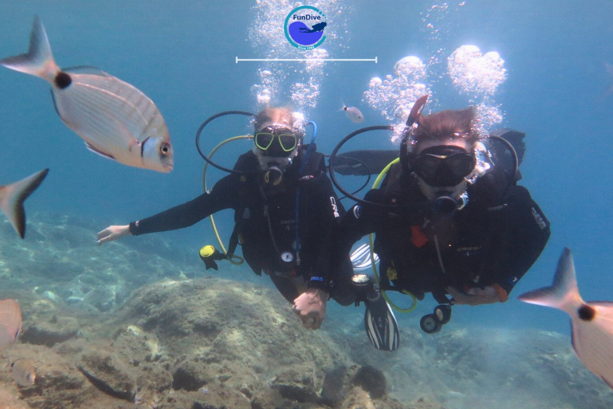 FunDive