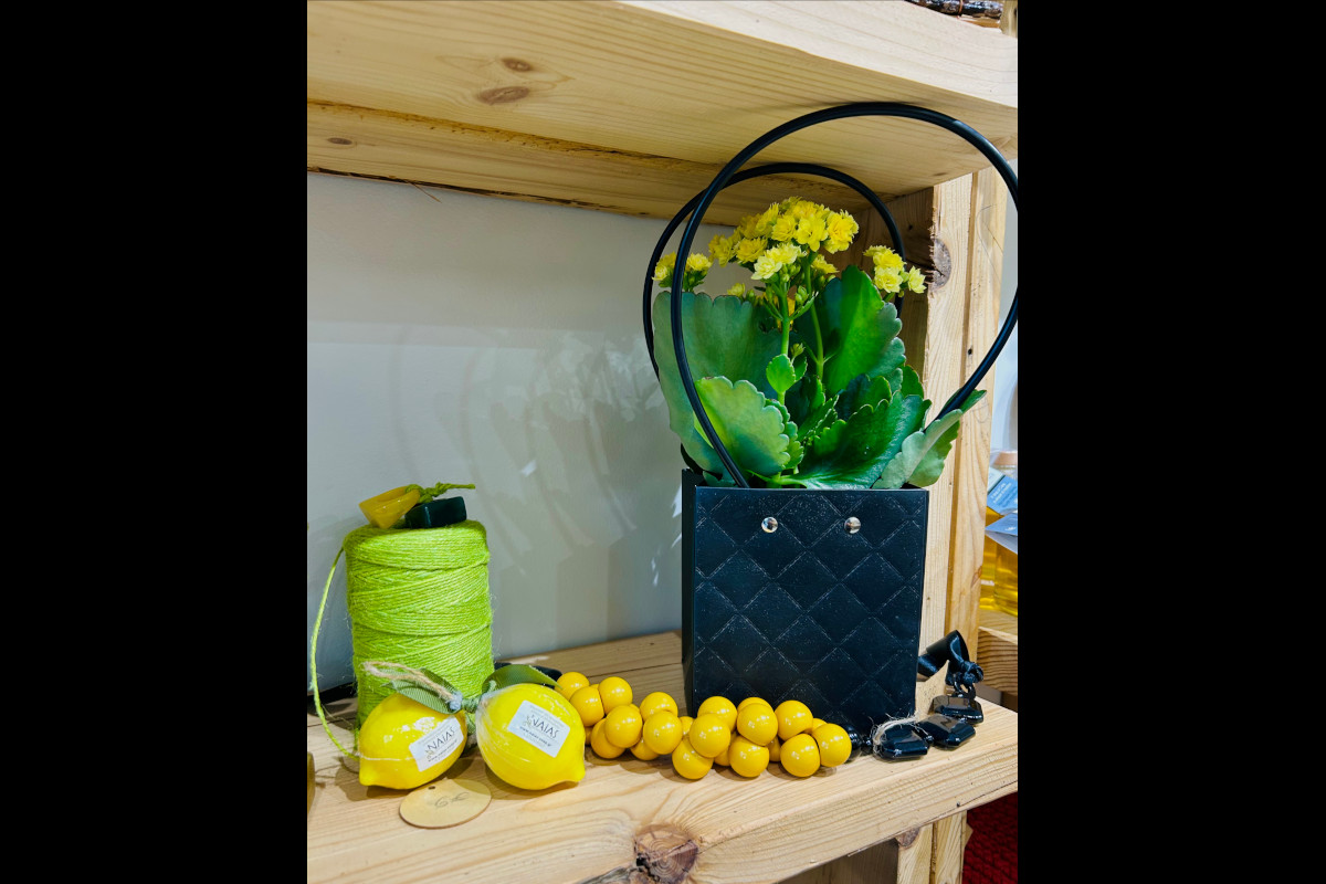 Kallisti Concept Store